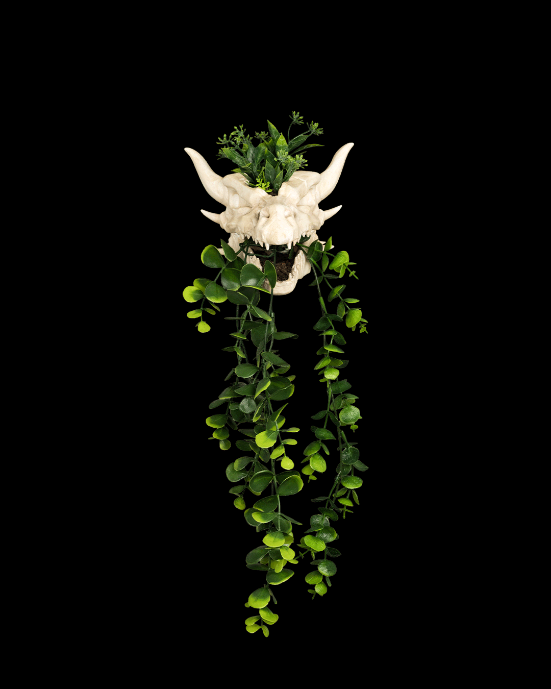 DRIP AND DECAY PLANTER