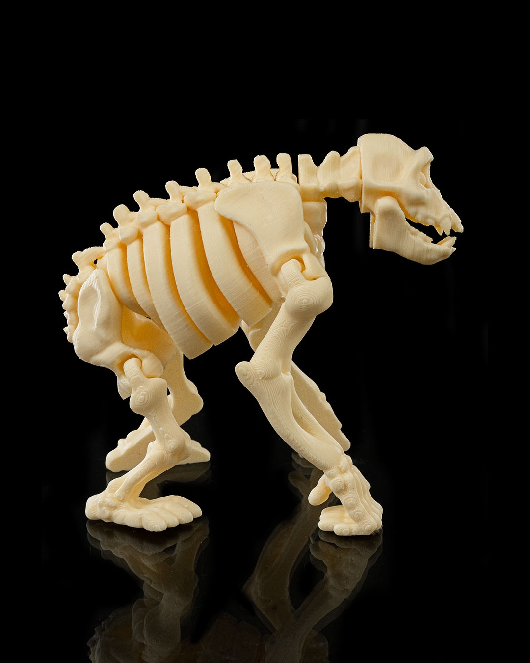 SKELETON CHIMP