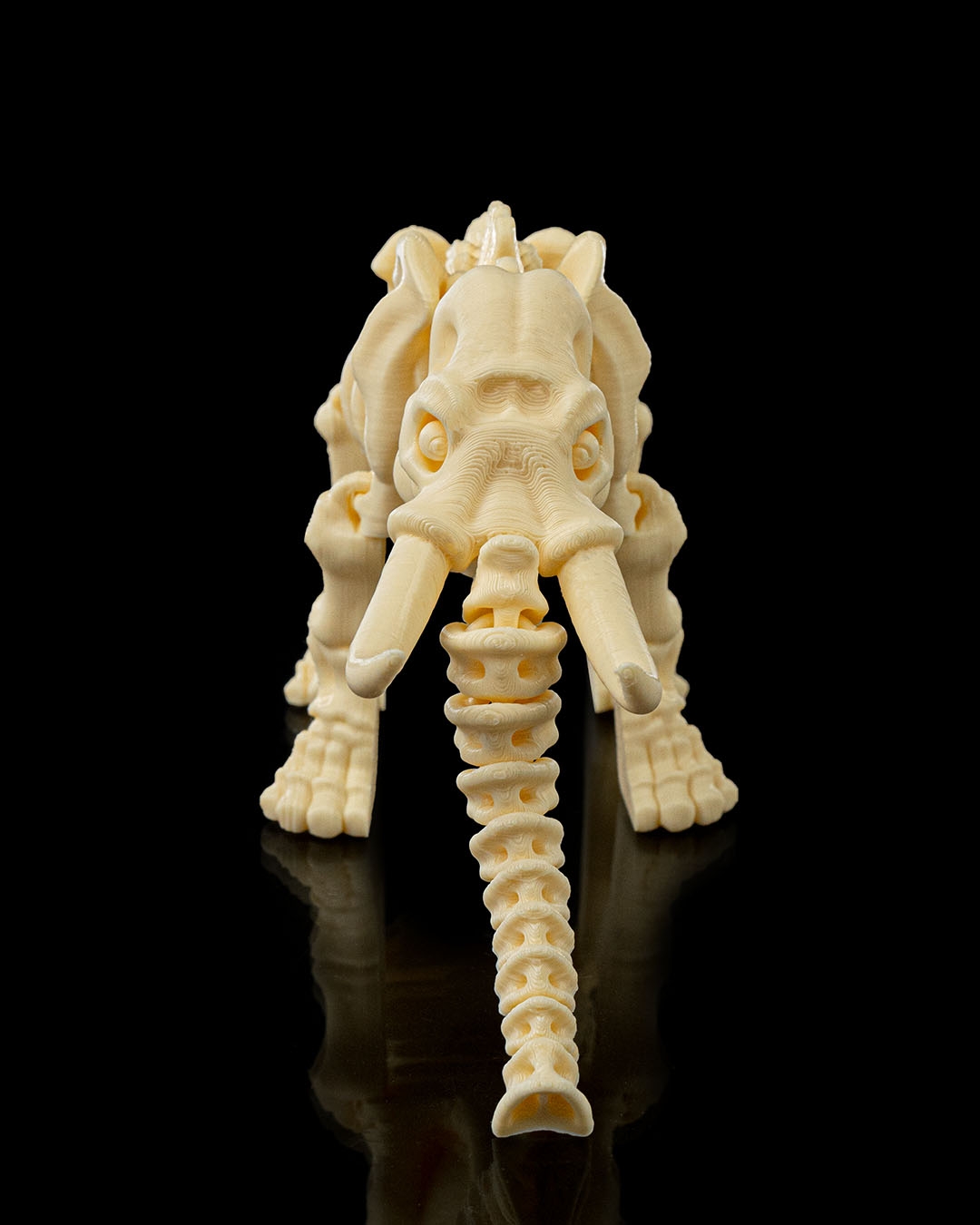SKELETON ELEPHANT