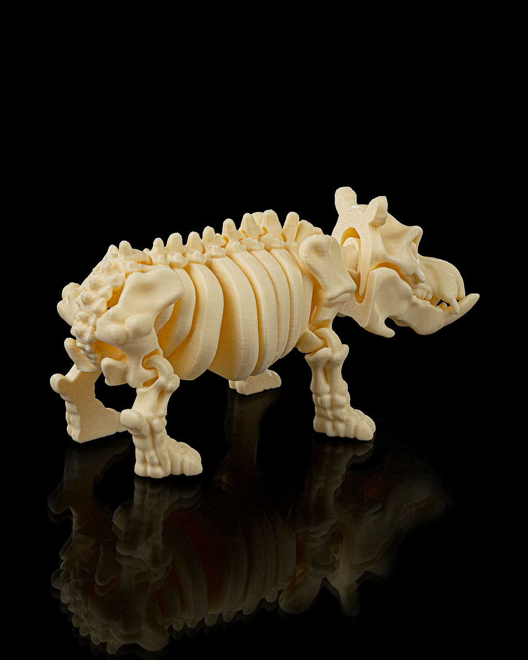 SKELETON HIPPO
