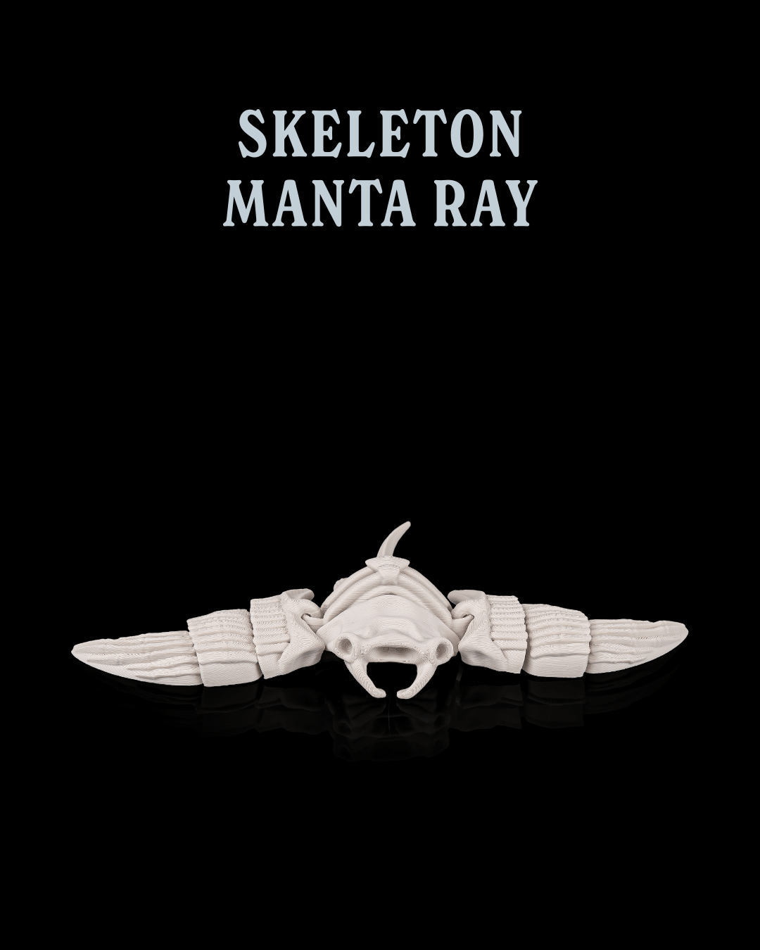 Skeleton Manta Ray - 3D Printed Ocean Creature