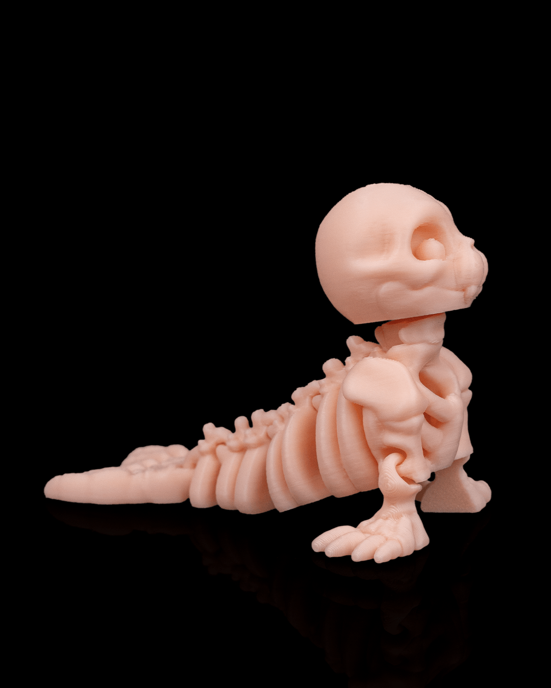 SKELETON SEAL
