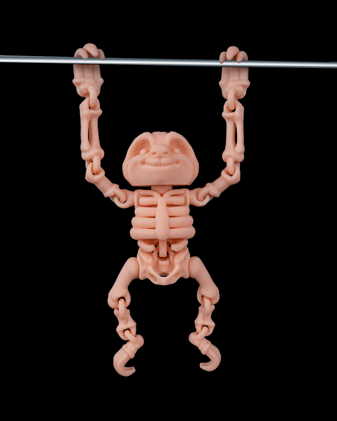 SKELETON SLOTH