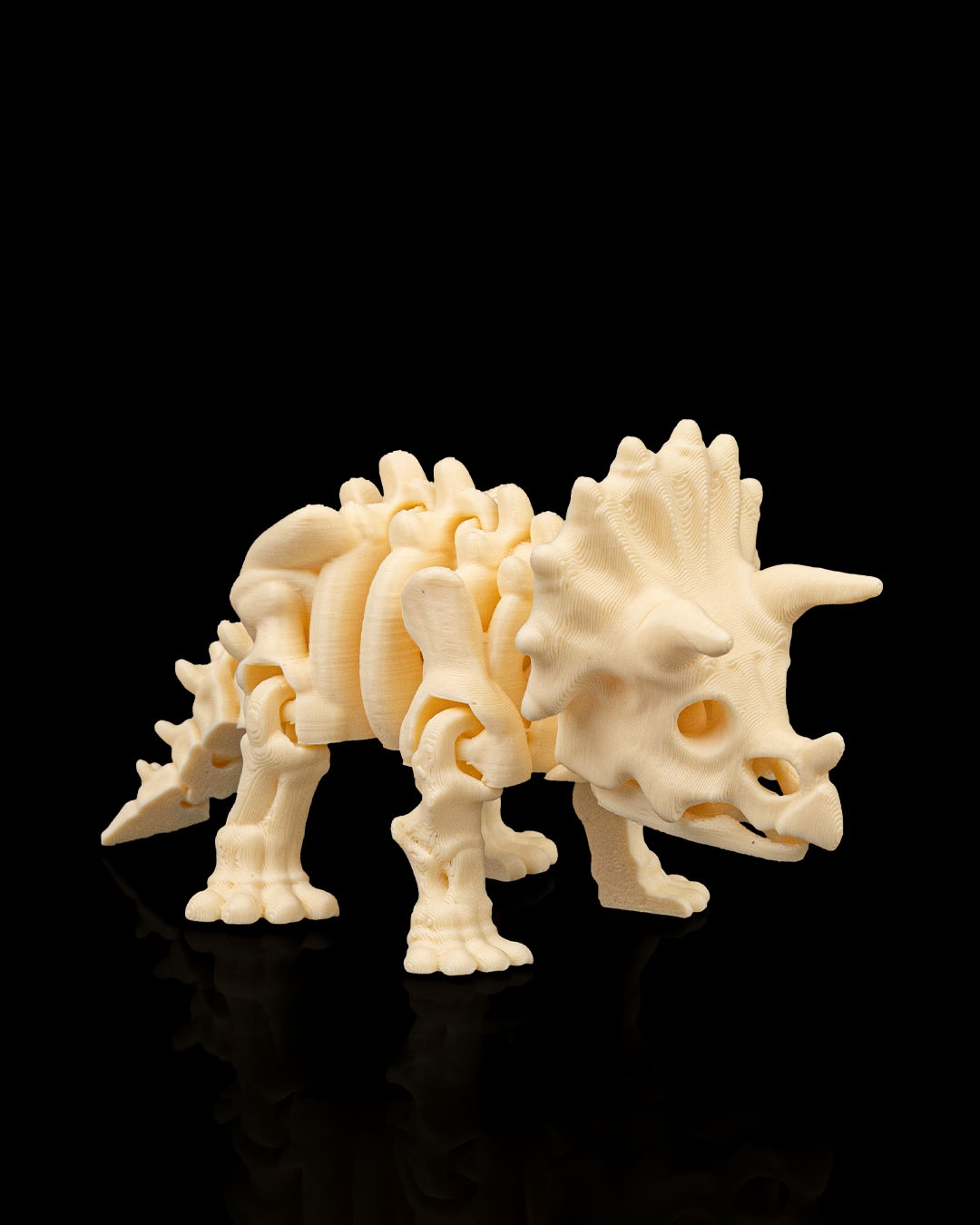 SKELETON TRICERATOPS