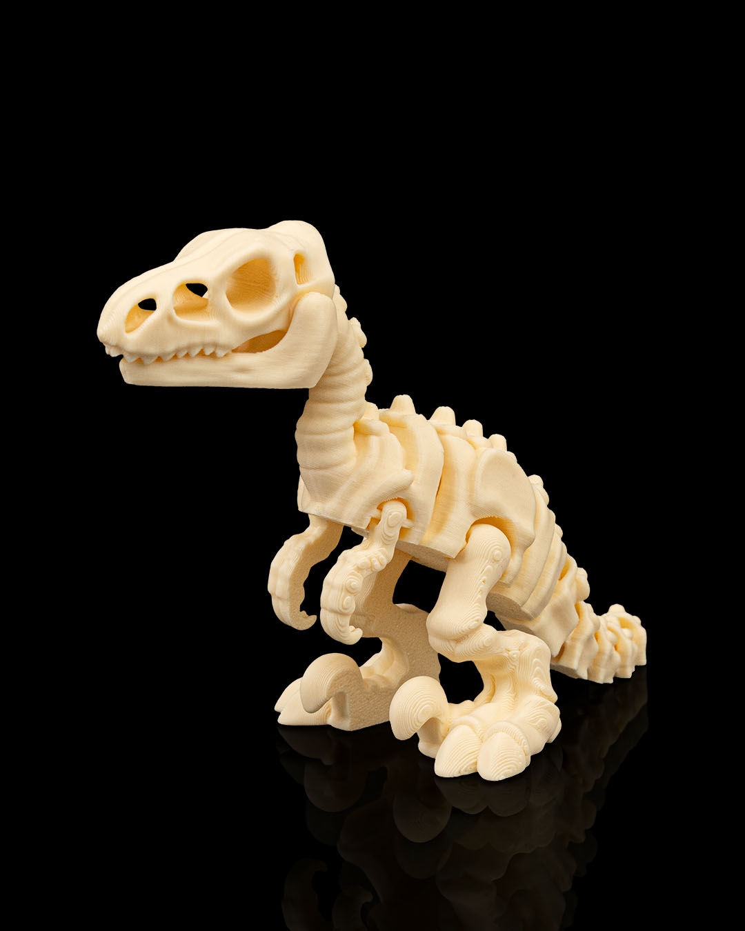 SKELETON VELOCIRAPTOR